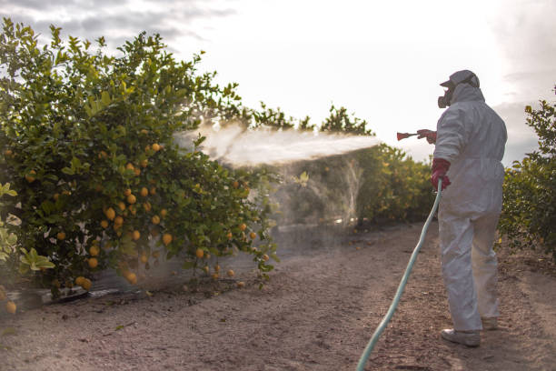 Best Emergency Pest Control  in Johnston, IA