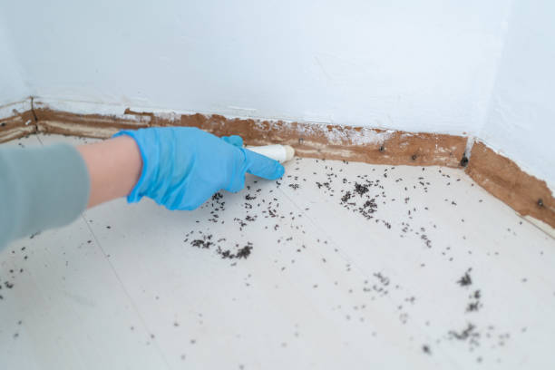 Best Exterminator Services  in Johnston, IA